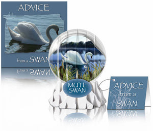 swan greeting card,swan birthday card,bird lover birthday card,birder card