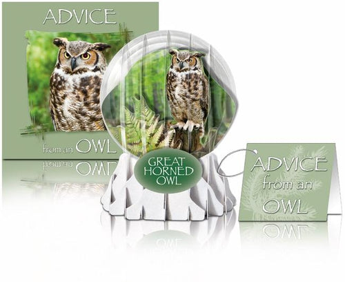 owl greeting card,owl birthday card,bird lover birthday card,birder card