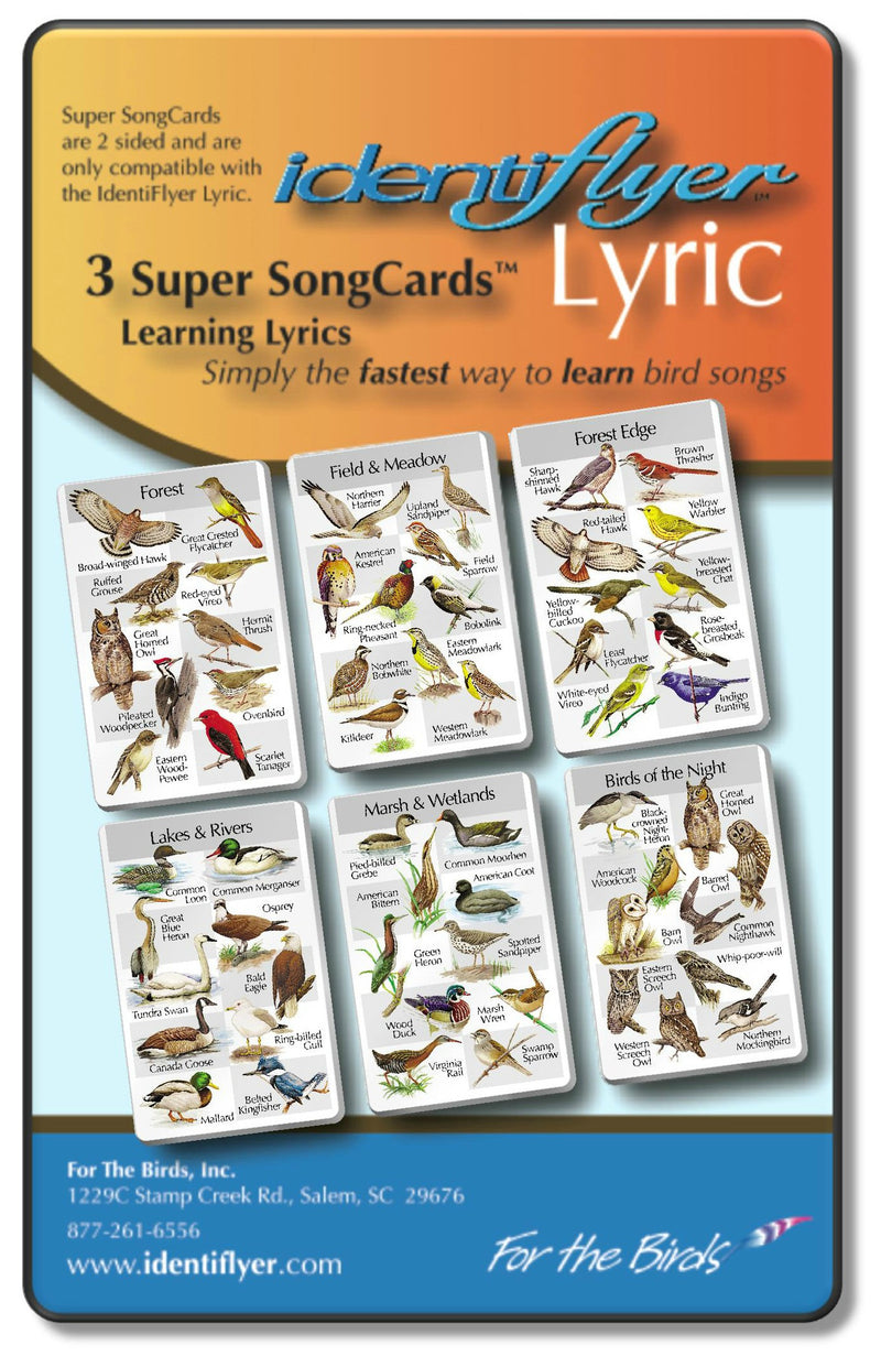 3_super_song_cards_800x.jpg?v=
