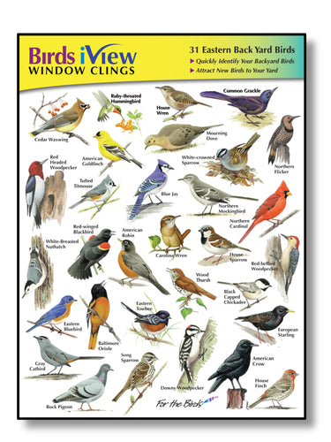 learn bird songs and bird calls,frog calls,turkey calls,duck calls,identify birds