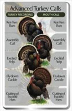 3c. Advanced Turkey Calls SongCard - For Classic IdentiFlyer