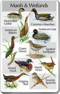 2b. Birds of the Marsh and Wetlands For Classic IdentiFlyer and Singing AlarmClock