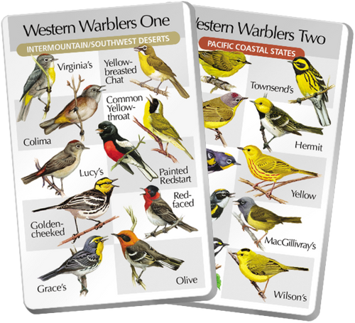 2d. Western Warblers One & Two