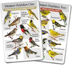 2d. Western Warblers One & Two